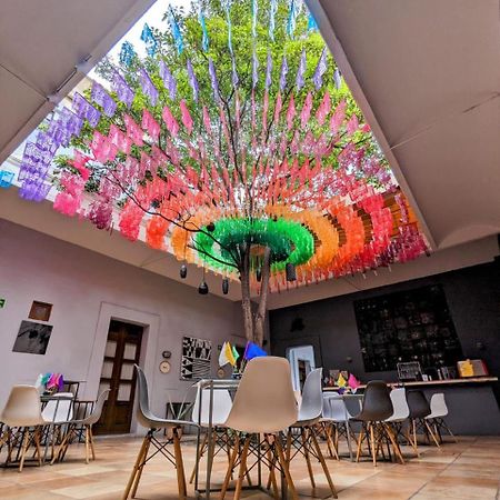 Bkl Hotel Oaxaca Екстер'єр фото