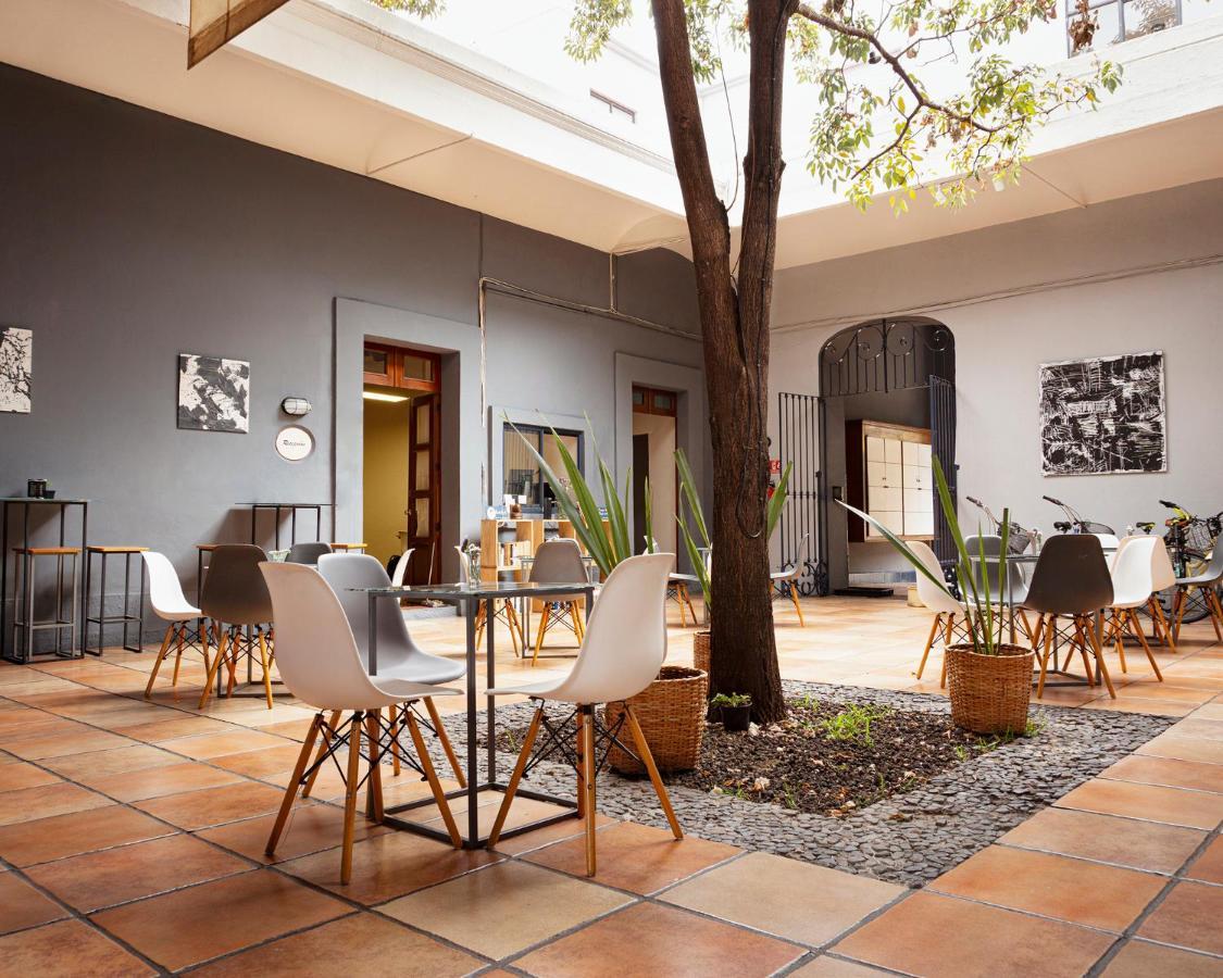 Bkl Hotel Oaxaca Екстер'єр фото