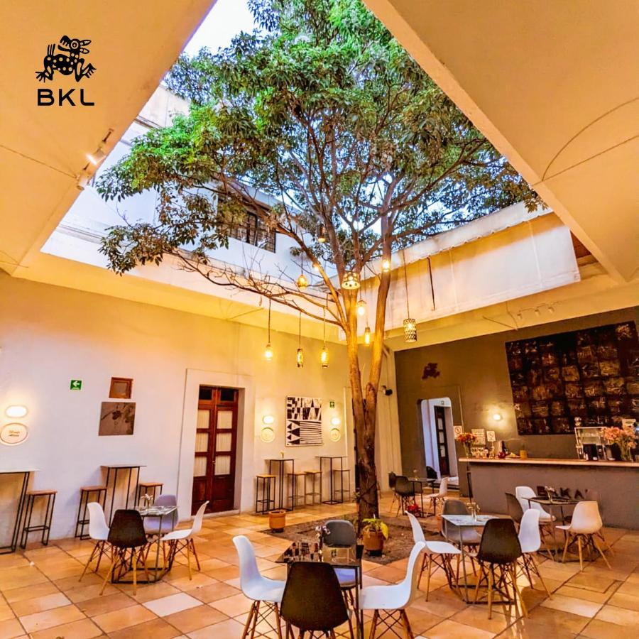 Bkl Hotel Oaxaca Екстер'єр фото