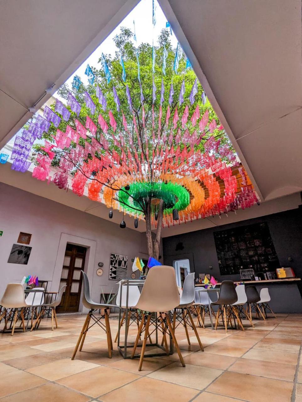 Bkl Hotel Oaxaca Екстер'єр фото